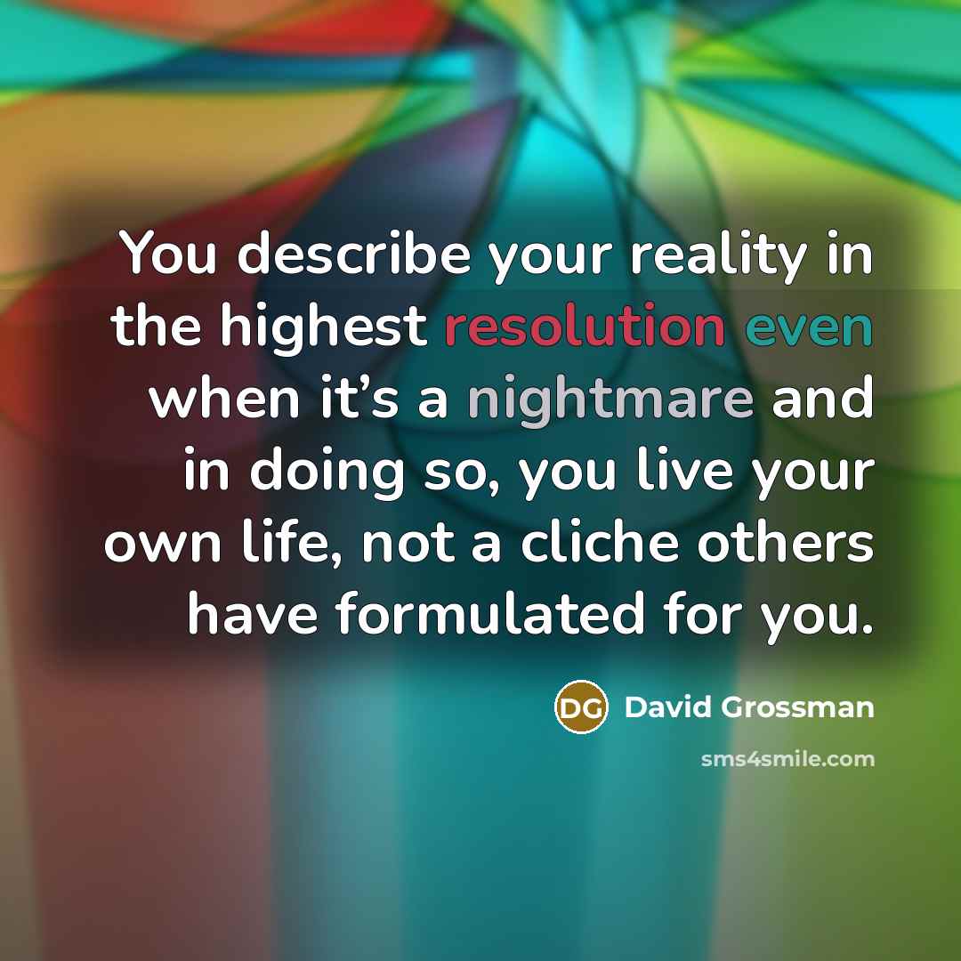 “You describe your reality in the highest resolution even when…” quote by David Grossman