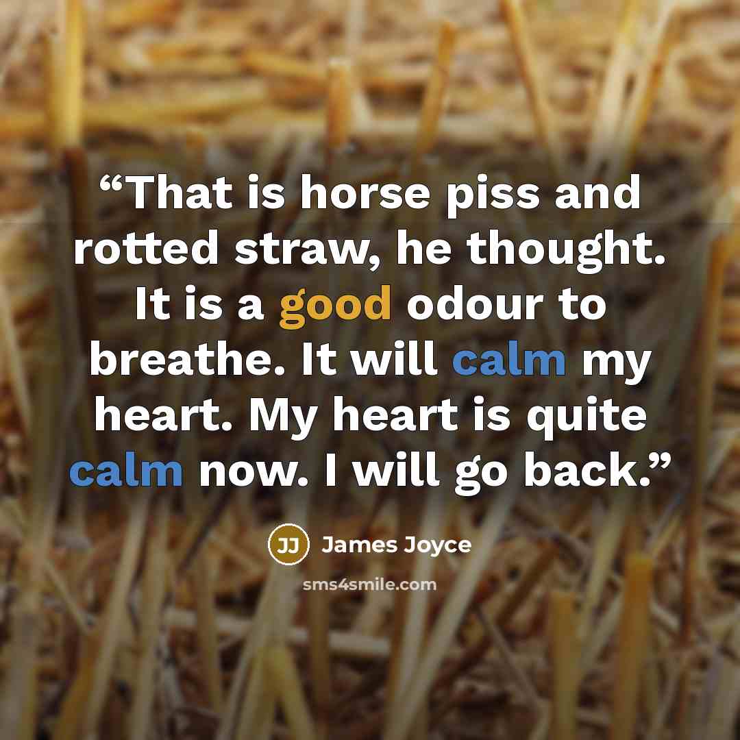 “That is horse piss and rotted straw, he thought. It is a good odour to breathe. It will calm my heart. My heart is quite calm now. I will go back.” quote by James Joyce