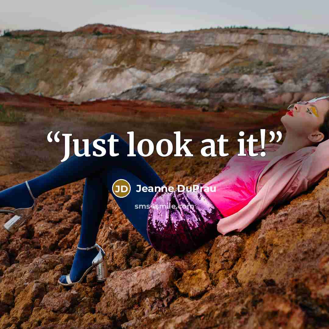 “Just look at it!” quote by Jeanne DuPrau