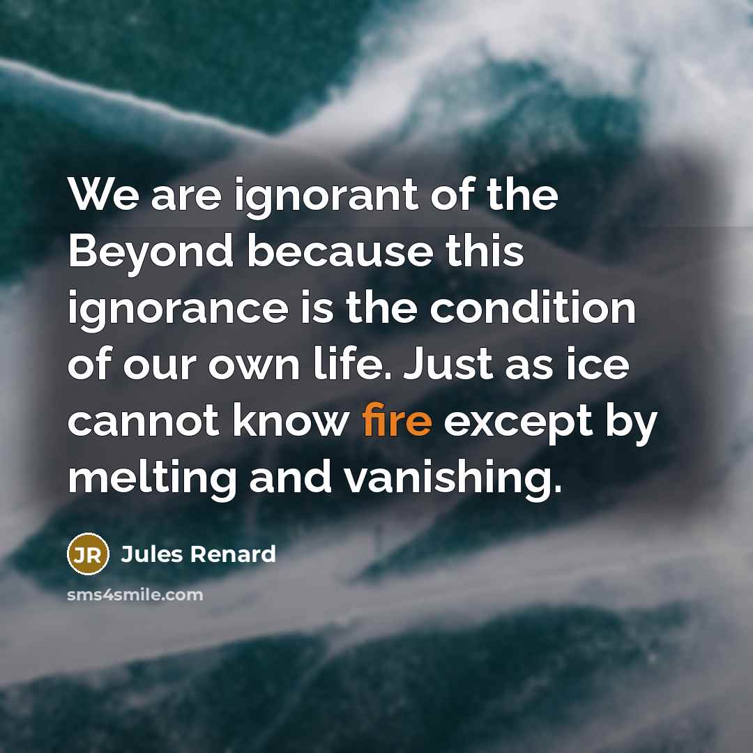 “We are ignorant of the Beyond because this ignorance is…” quote by Jules Renard