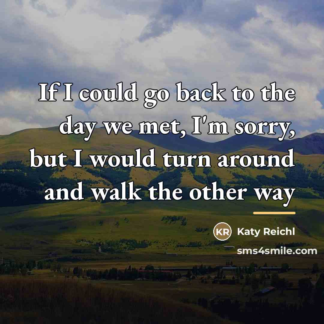 “If I could go back to the day we met,…” quote by Katy Reichl