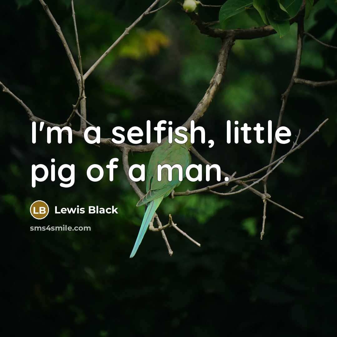 “I'm a selfish, little pig of a man.” quote by Lewis Black