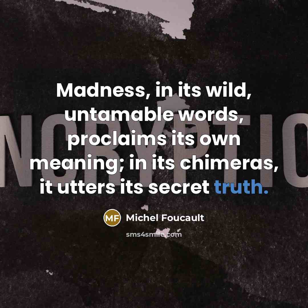 “Madness, in its wild, untamable words, proclaims its own meaning;…” quote by Michel Foucault