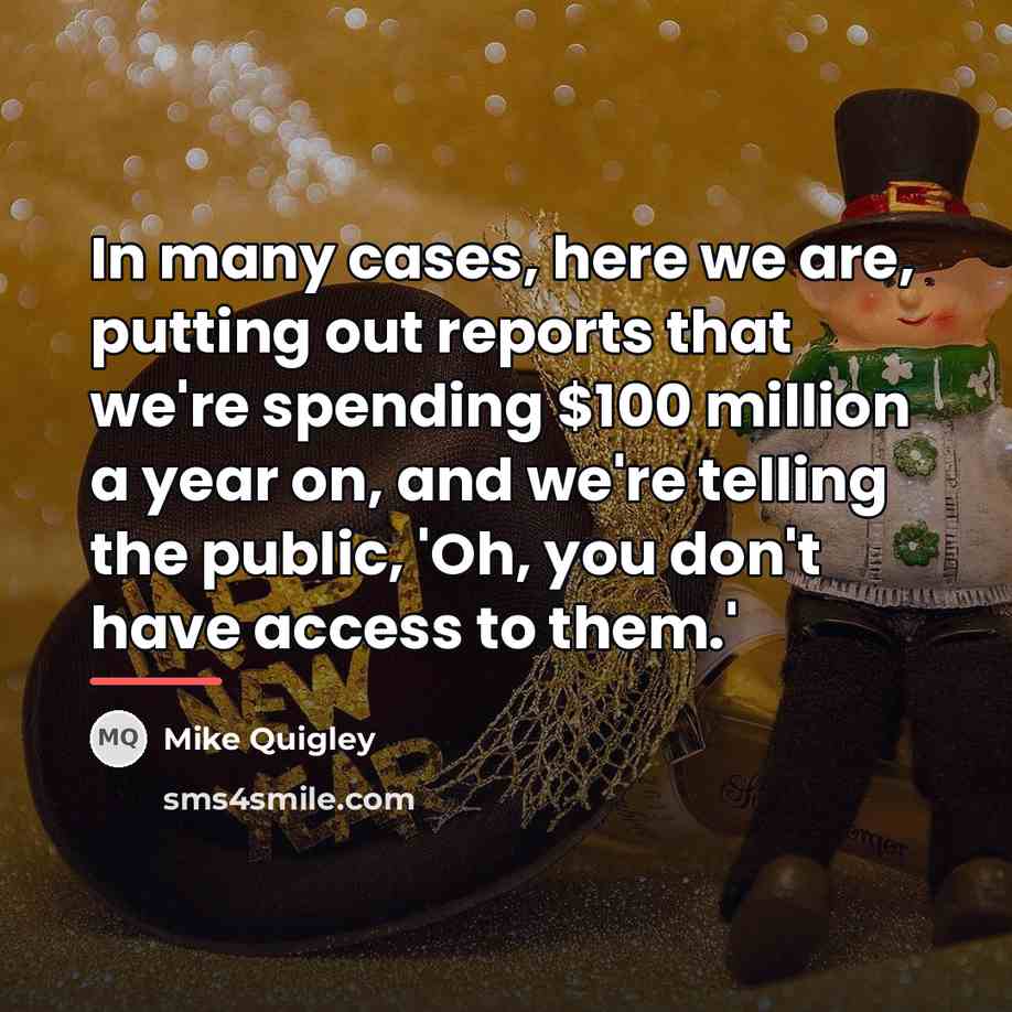 “In many cases, here we are, putting out reports that…” quote by Mike Quigley
