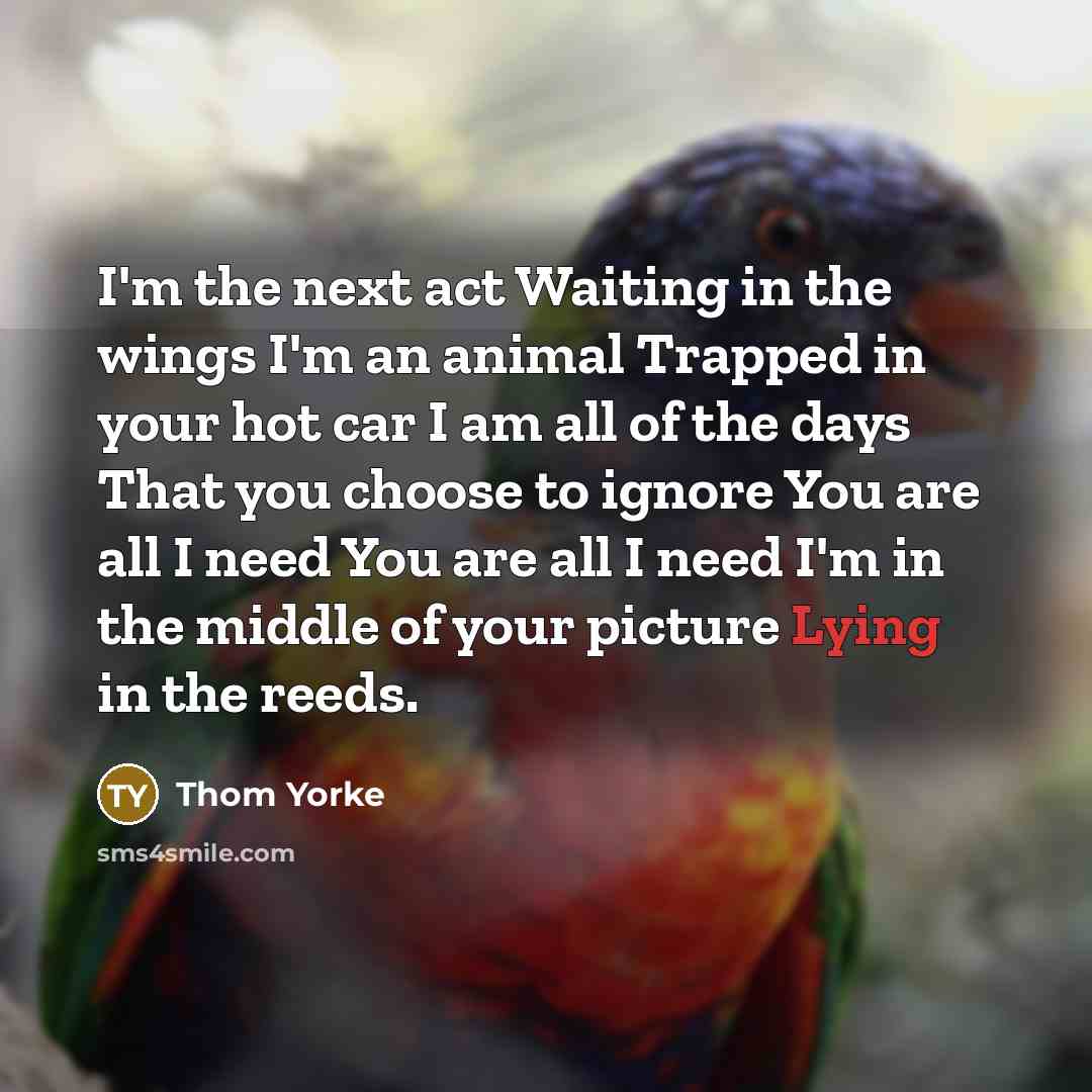 “I'm the next act Waiting in the wings I'm an…” quote by Thom Yorke