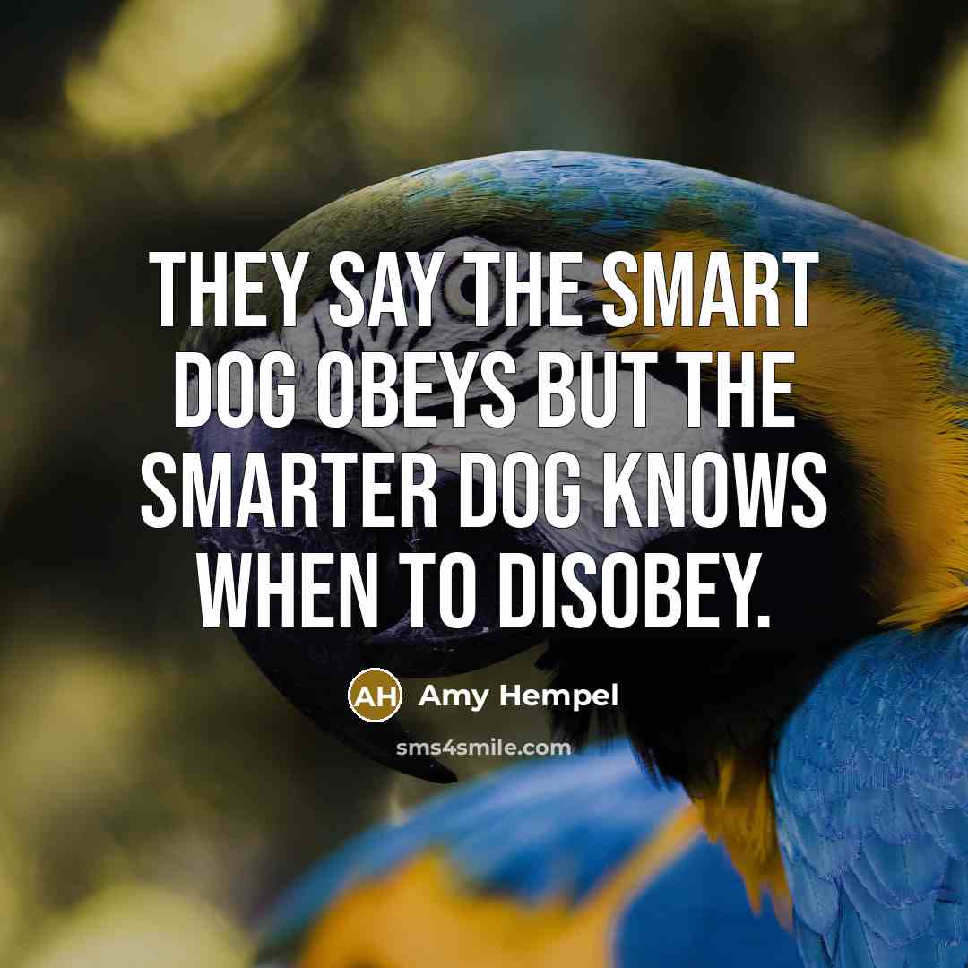 “They say the smart dog obeys but the smarter dog knows when to disobey.” quote by Amy Hempel