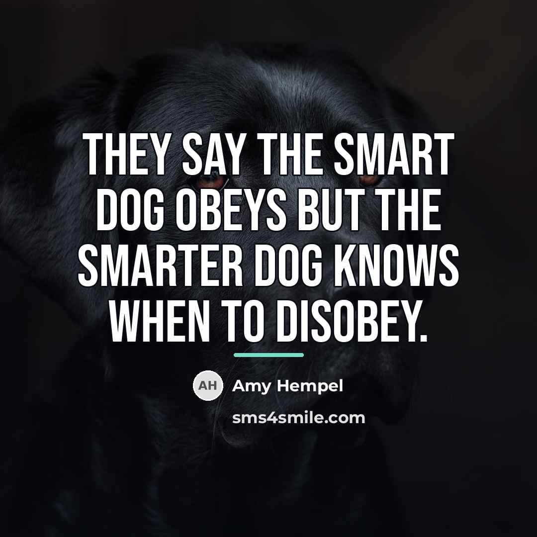 “They say the smart dog obeys but the smarter dog…” quote by Amy Hempel