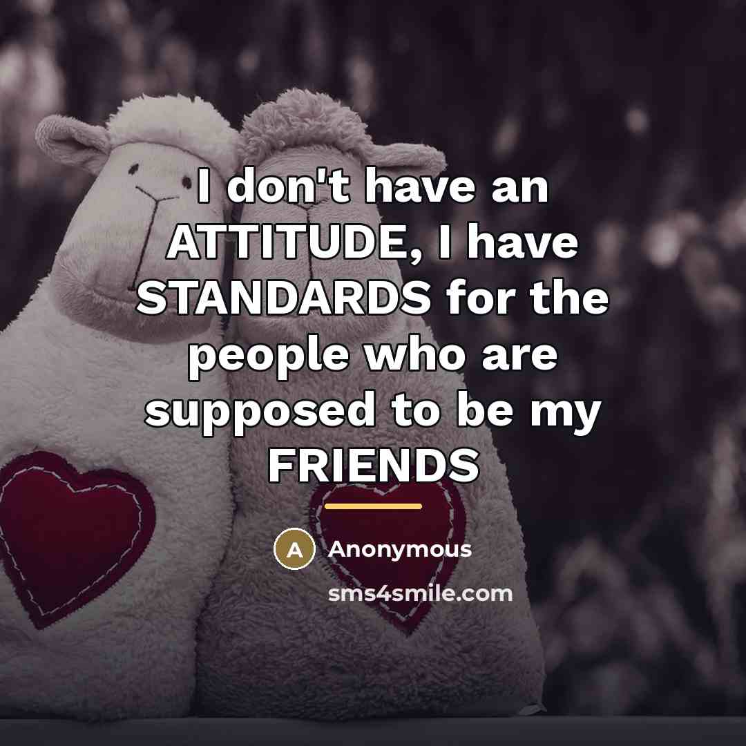 “I don't have an ATTITUDE, I have STANDARDS for the…” quote by Anonymous
