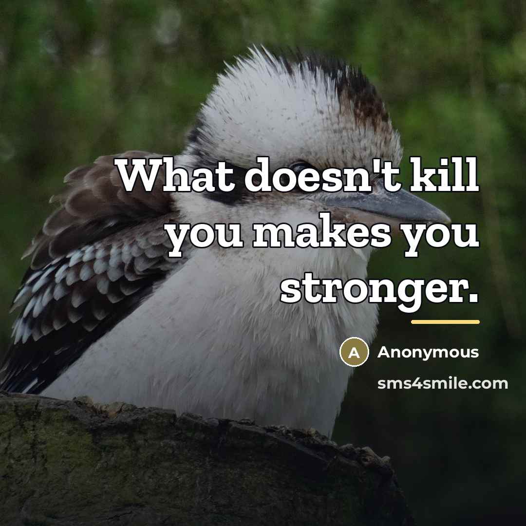“What doesn't kill you makes you stronger.…” quote by Anonymous