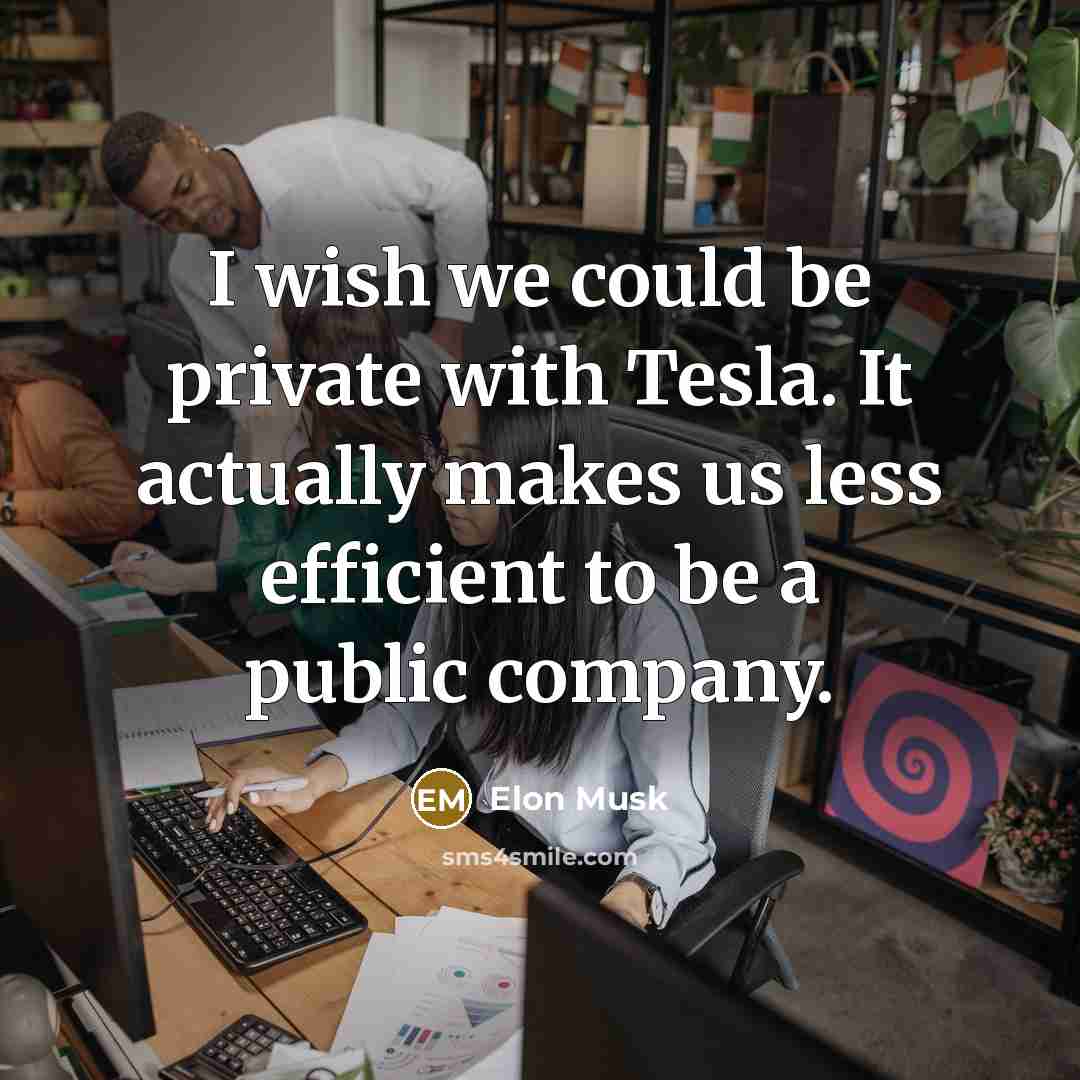 “I wish we could be private with Tesla. It actually…” quote by Elon Musk