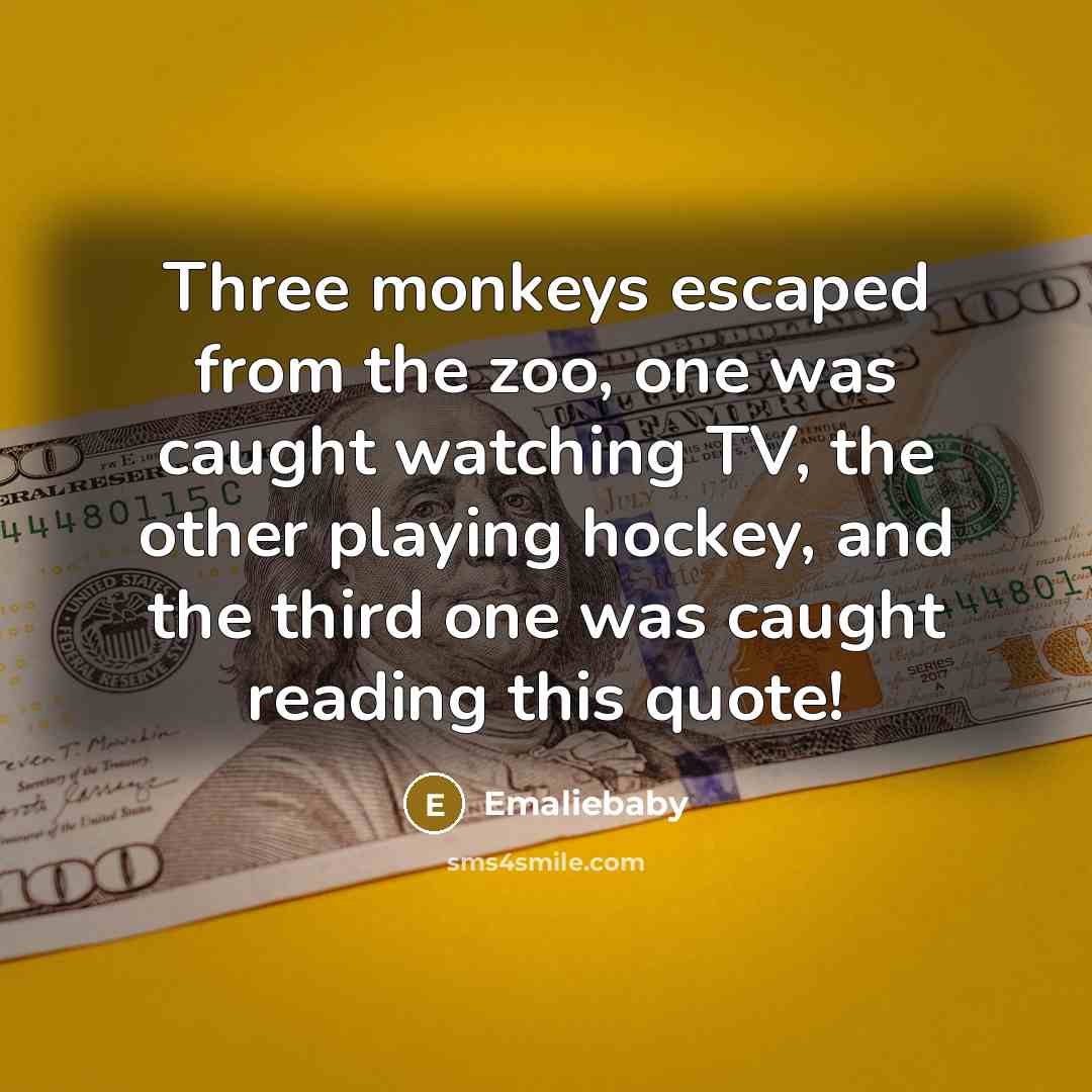 “Three monkeys escaped from the zoo, one was caught watching…” quote by Emaliebaby