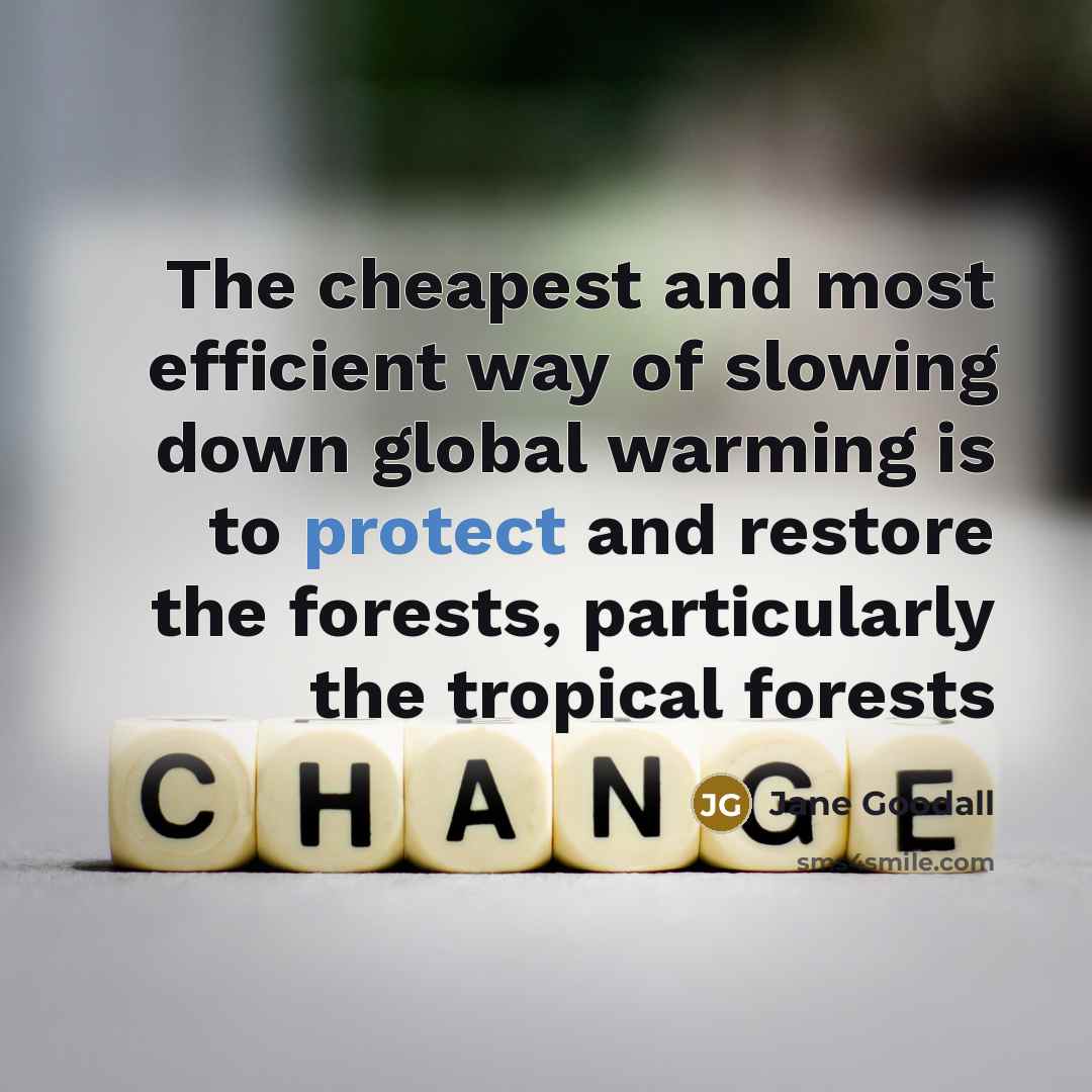 “The cheapest and most efficient way of slowing down global…” quote by Jane Goodall
