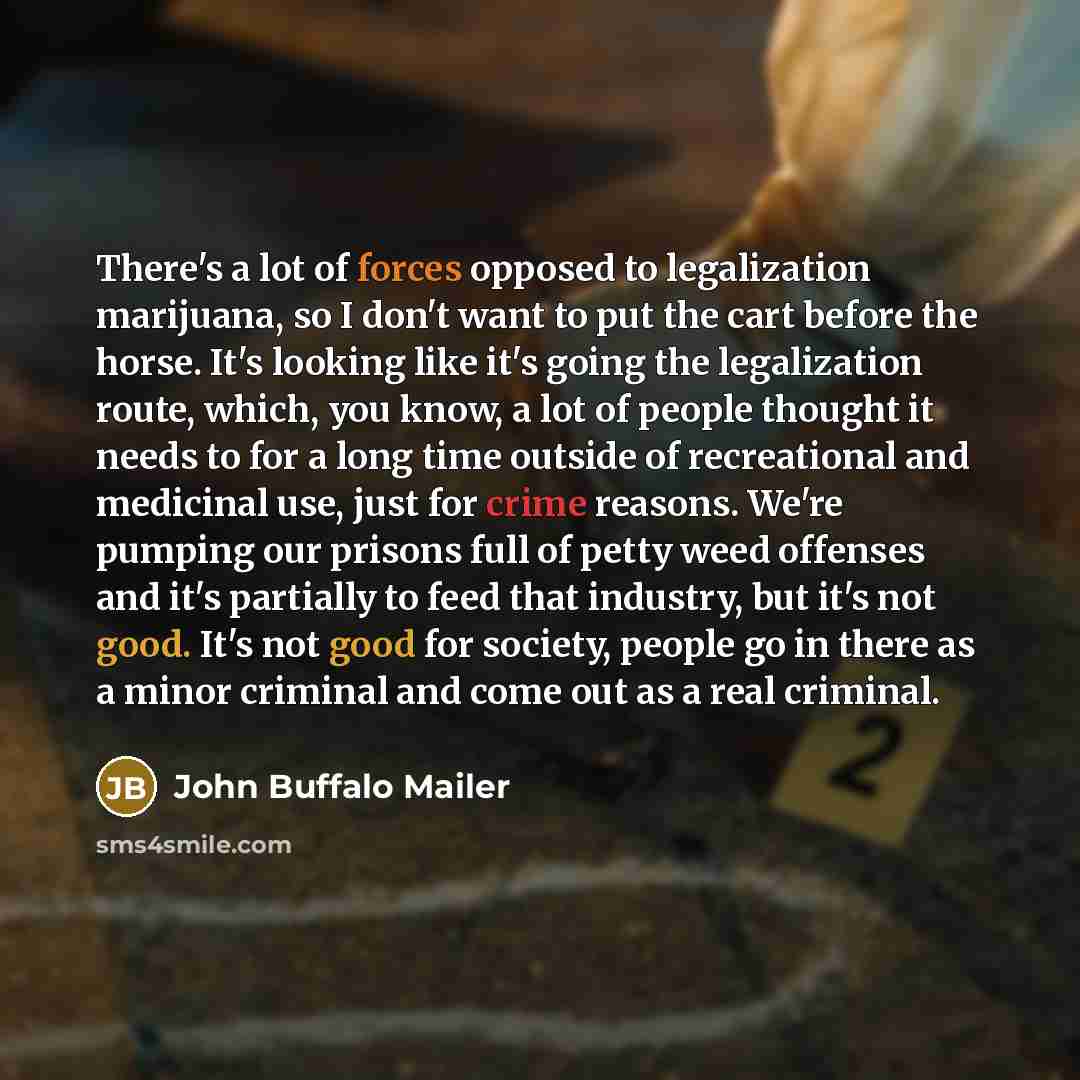 “There's a lot of forces opposed to legalization marijuana, so…” quote by John Buffalo Mailer