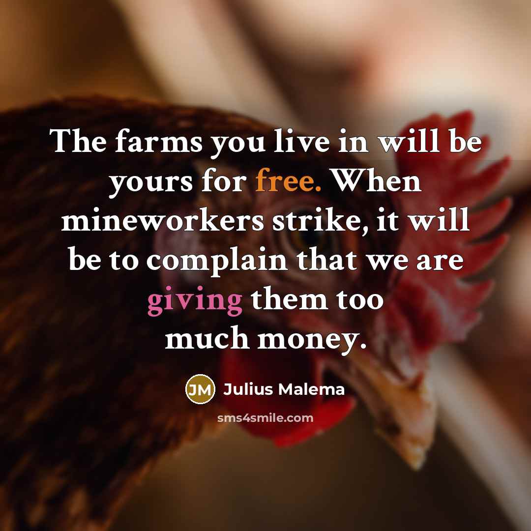“The farms you live in will be yours for free.…” quote by Julius Malema