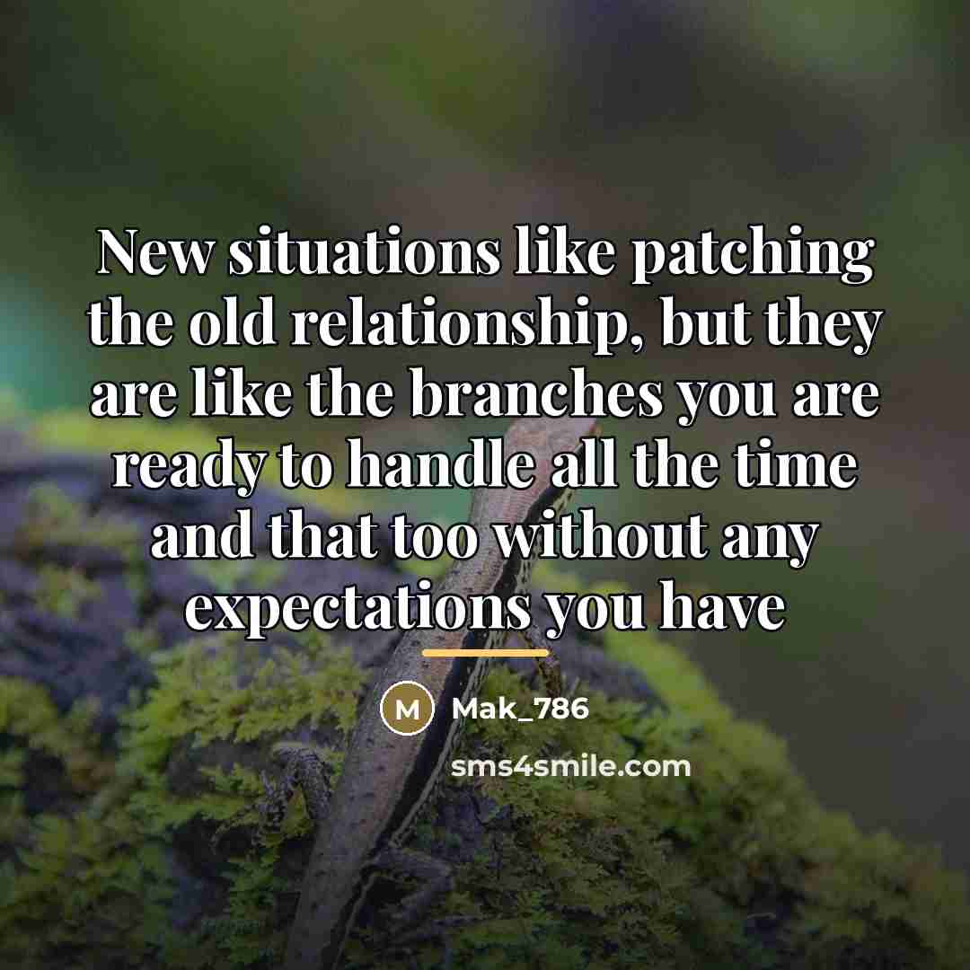 “New situations like patching the old relationship, but they are…” quote by Mak_786