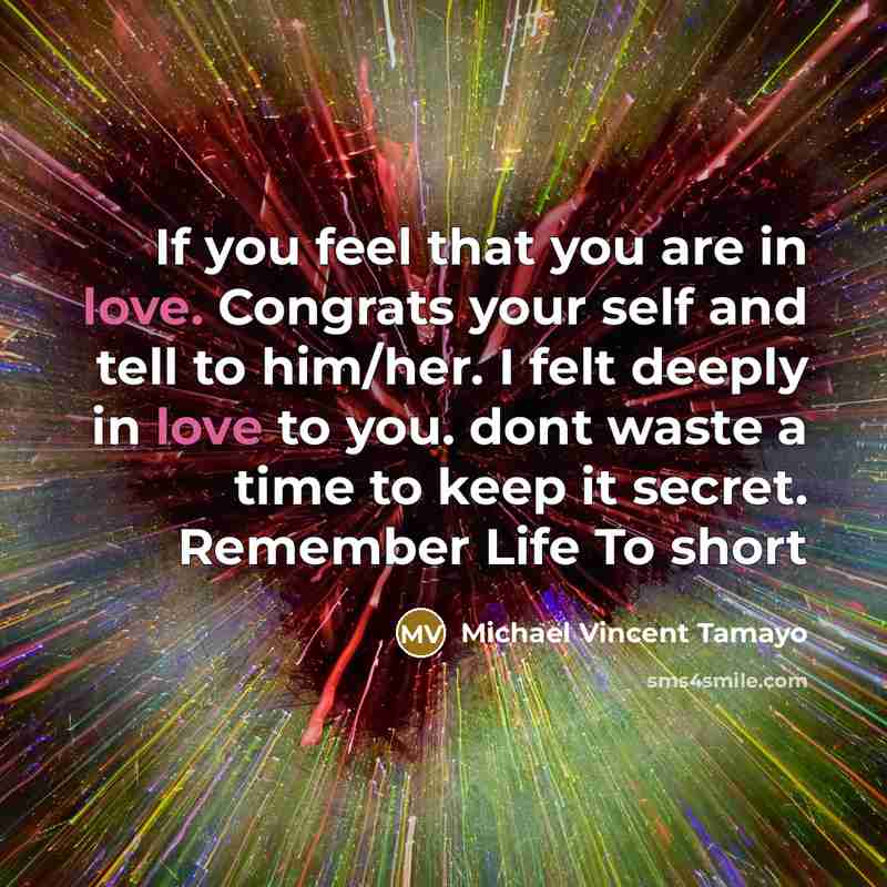 “If you feel that you are in love. Congrats your…” quote by Michael Vincent Tamayo