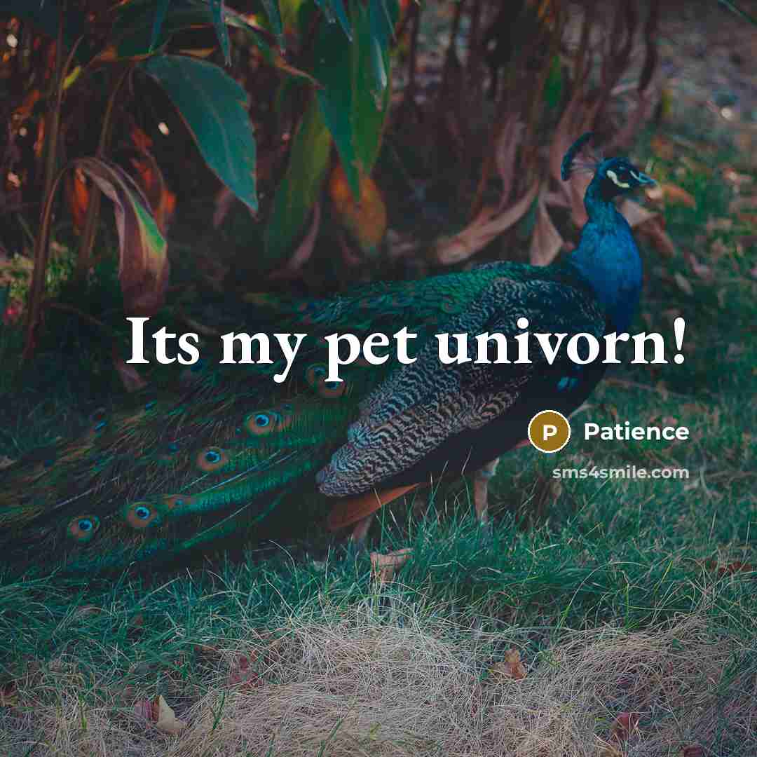 “Its my pet univorn!” quote by Patience