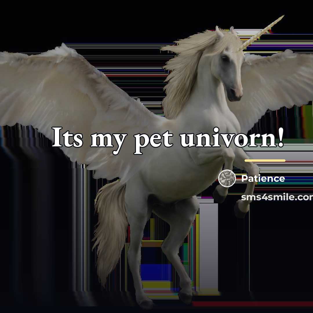 “Its my pet univorn!…” quote by Patience