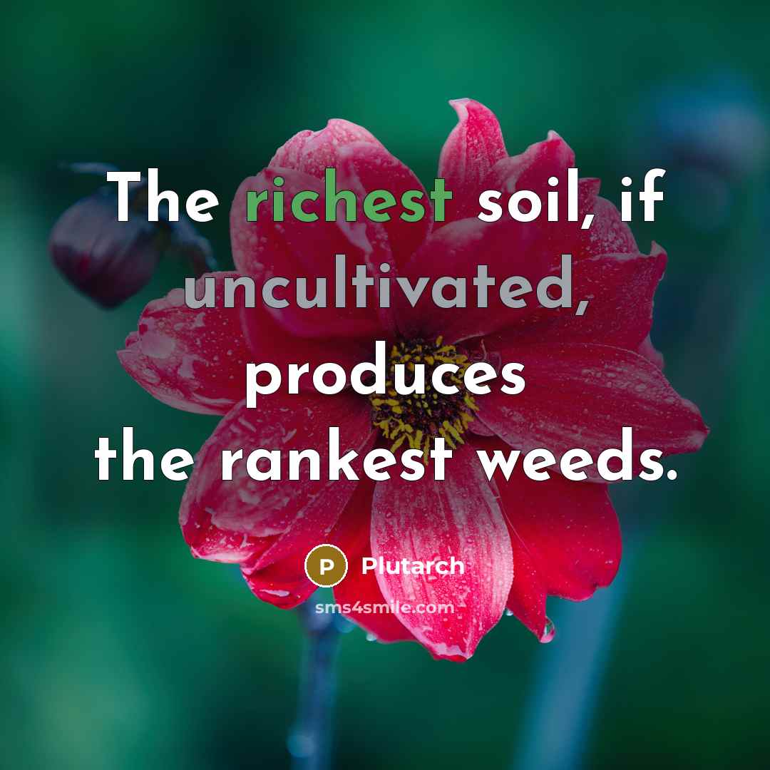 “The richest soil, if uncultivated, produces the rankest weeds.” quote by Plutarch