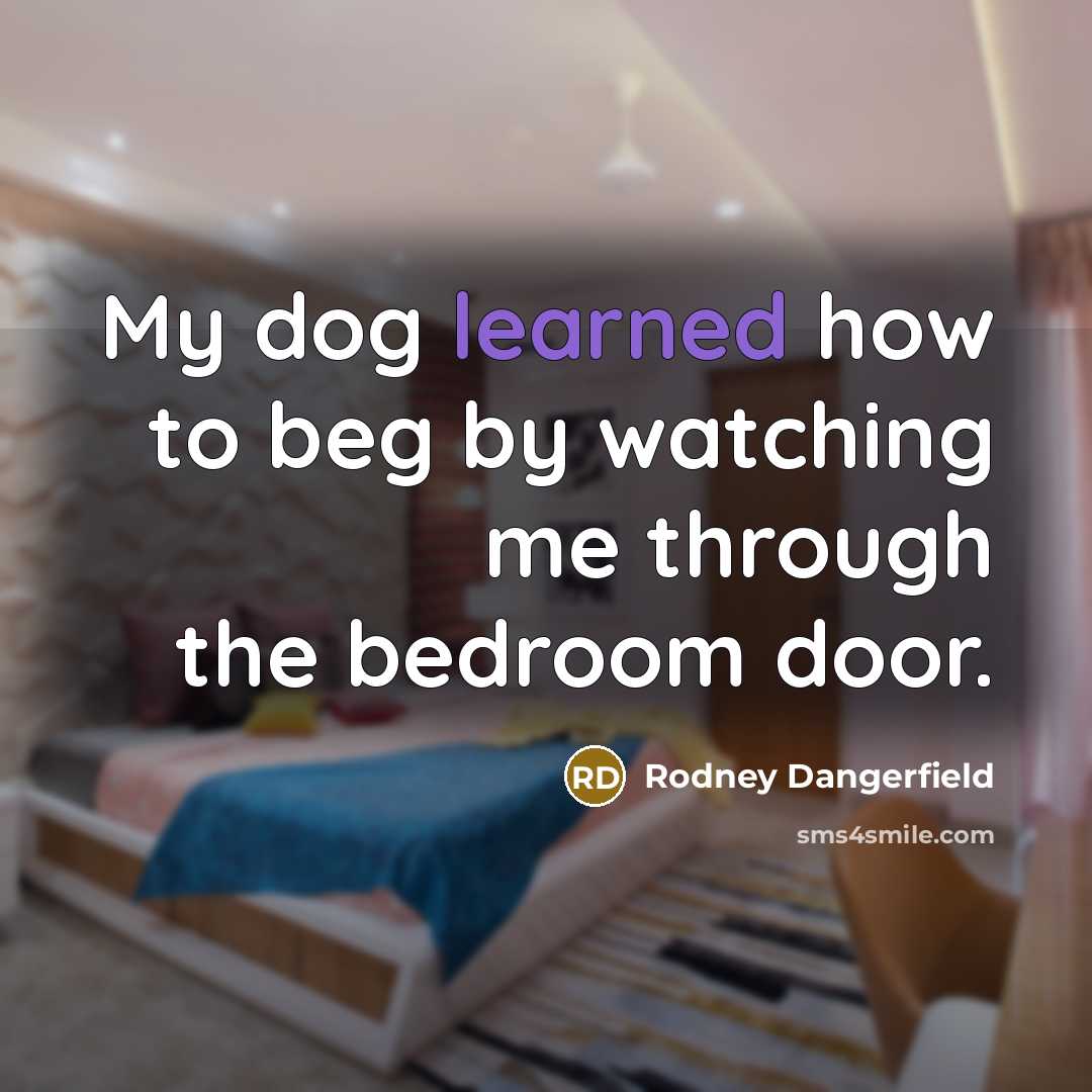 “My dog learned how to beg by watching me through…” quote by Rodney Dangerfield