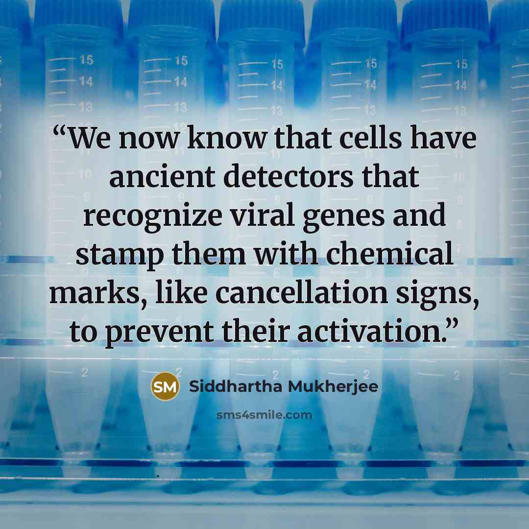 “We now know that cells have ancient detectors that recognize viral genes and stamp them with chemical marks, like cancellation signs, to prevent their activation.” quote by Siddhartha Mukherjee