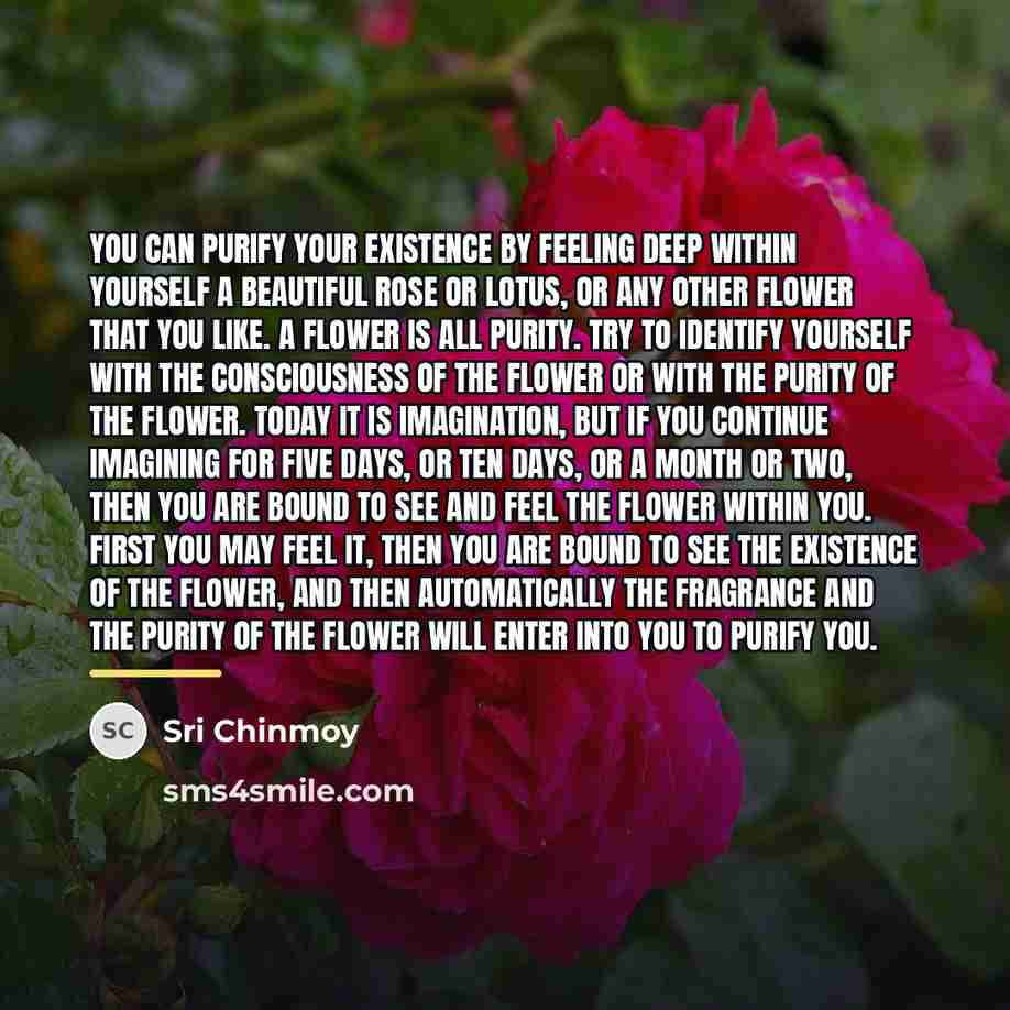 “You can purify your existence by feeling deep within yourself…” quote by Sri Chinmoy