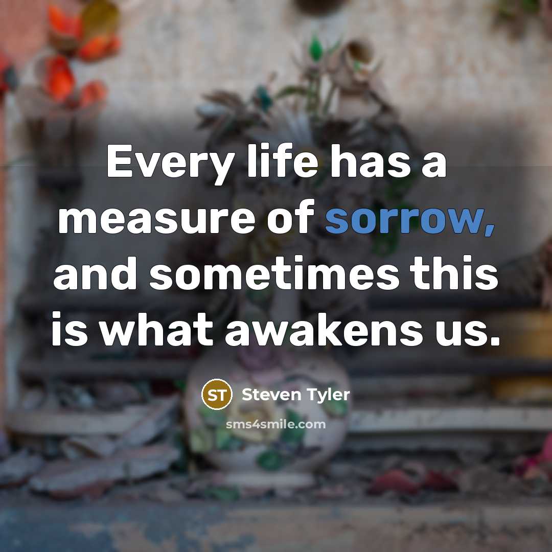 “Every life has a measure of sorrow, and sometimes this…” quote by Steven Tyler