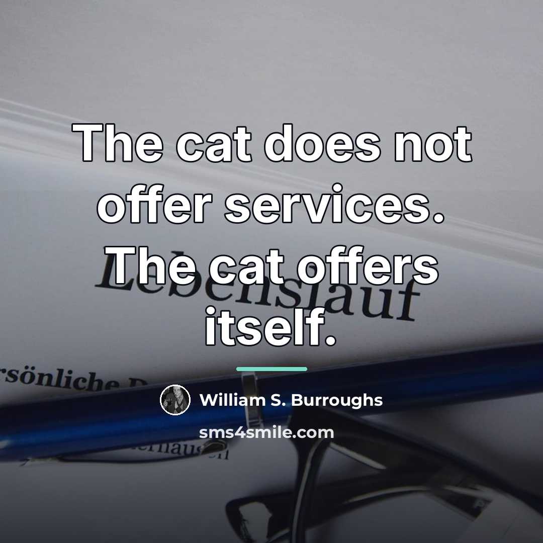 “The cat does not offer services. The cat offers itself.…” quote by William S. Burroughs