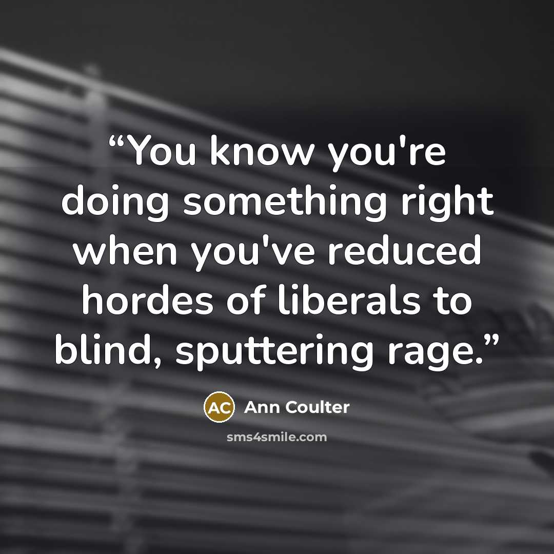 “You know you're doing something right when you've reduced hordes of liberals to blind, sputtering rage.” quote by Ann Coulter