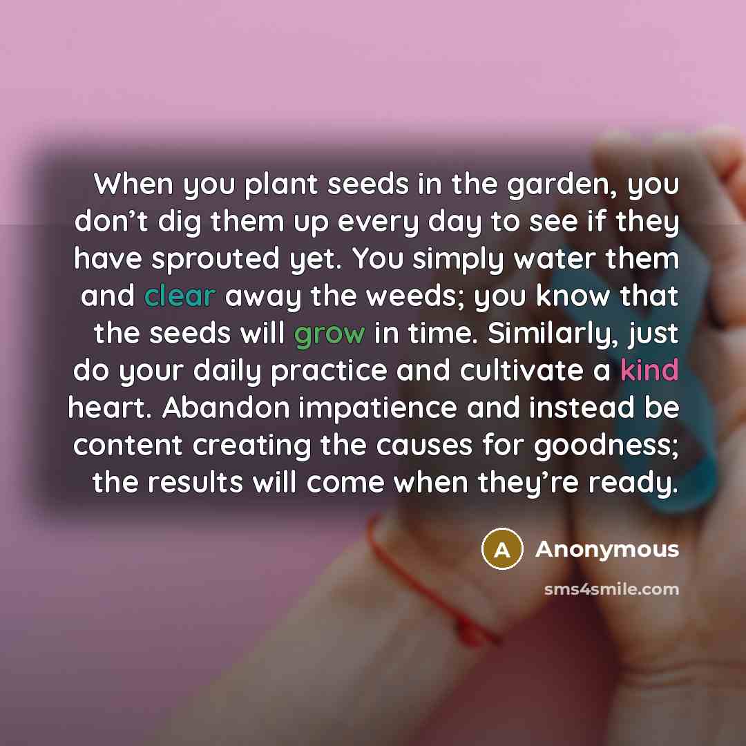 “When you plant seeds in the garden, you don’t dig…” quote by Anonymous
