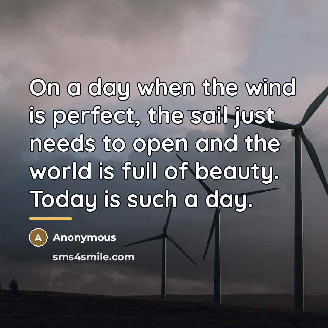 “On a day when the wind is perfect, the sail…” quote by Anonymous