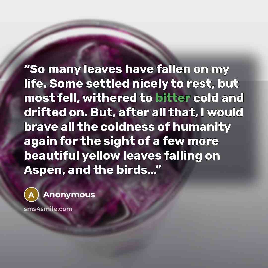 “So many leaves have fallen on my life. Some settled nicely to rest, but most fell, withered to bitter cold and drifted on. But, after all that, I would brave all the coldness of humanity again for the sight of a few more beautiful yellow leaves falling on Aspen, and the birds…” quote by Anonymous