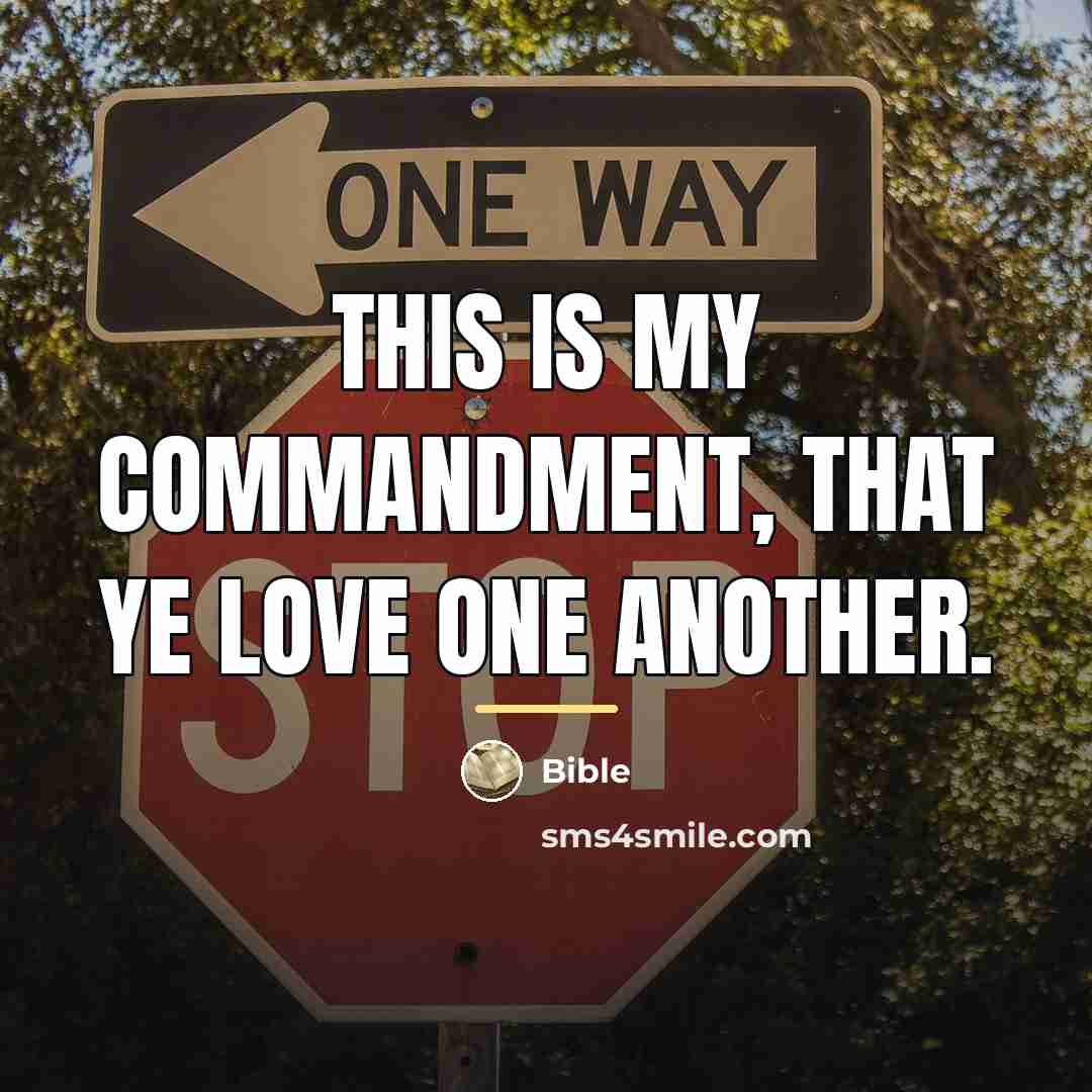 “This is my commandment, that ye love one another.…” quote by Bible