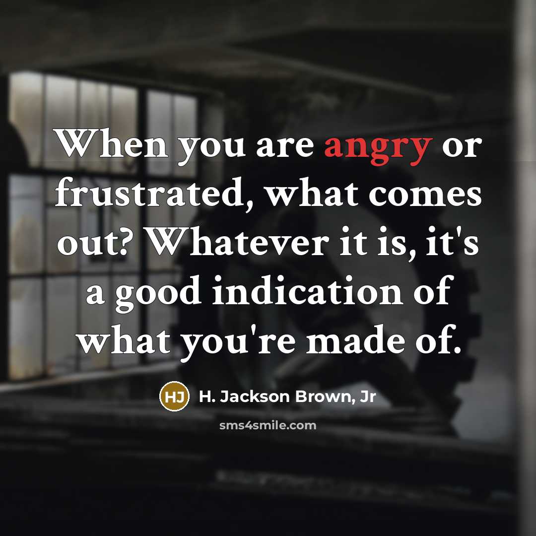 “When you are angry or frustrated, what comes out? Whatever…” quote by H. Jackson Brown, Jr