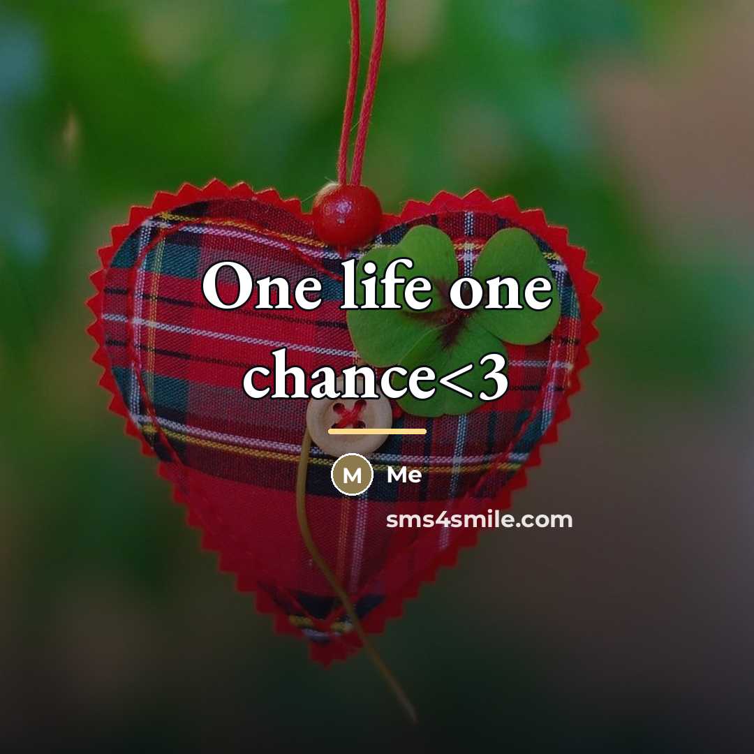 “One life one chance…” quote by Me
