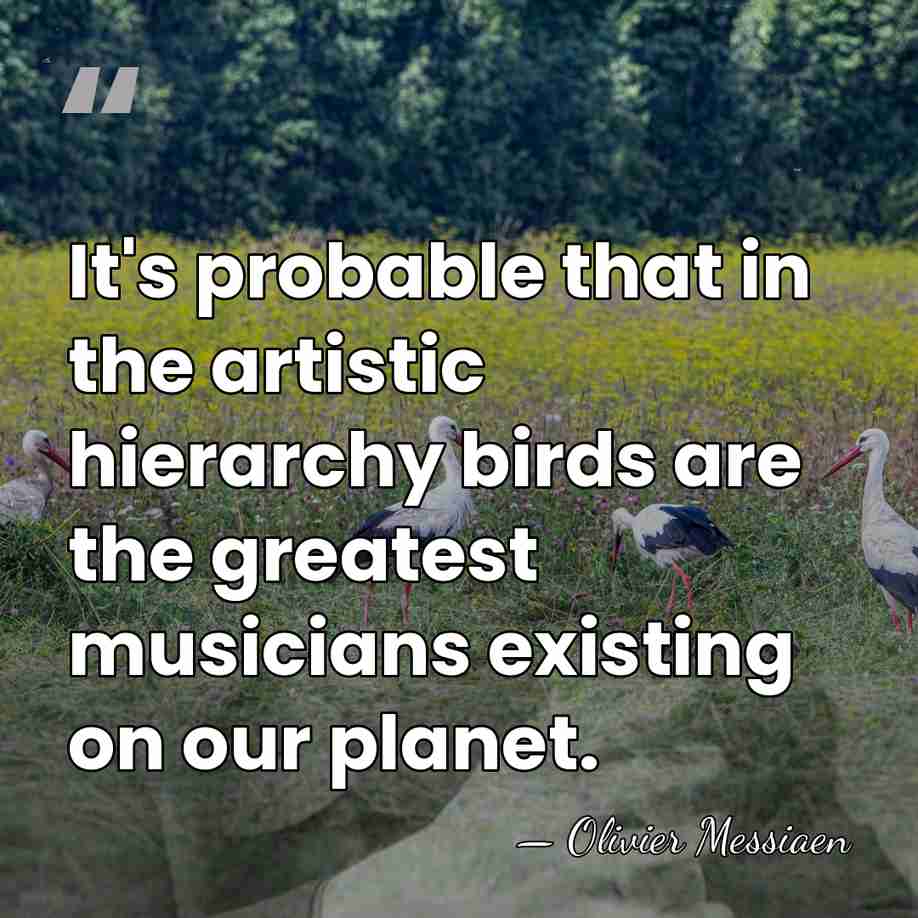 It's probable that in the artistic hierarchy birds are the greatest musicians&hellip; - Olivier Messiaen