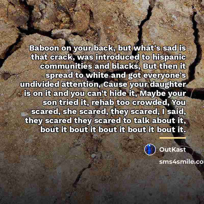 “Baboon on your back, but what's sad is that crack,…” quote by Outkast