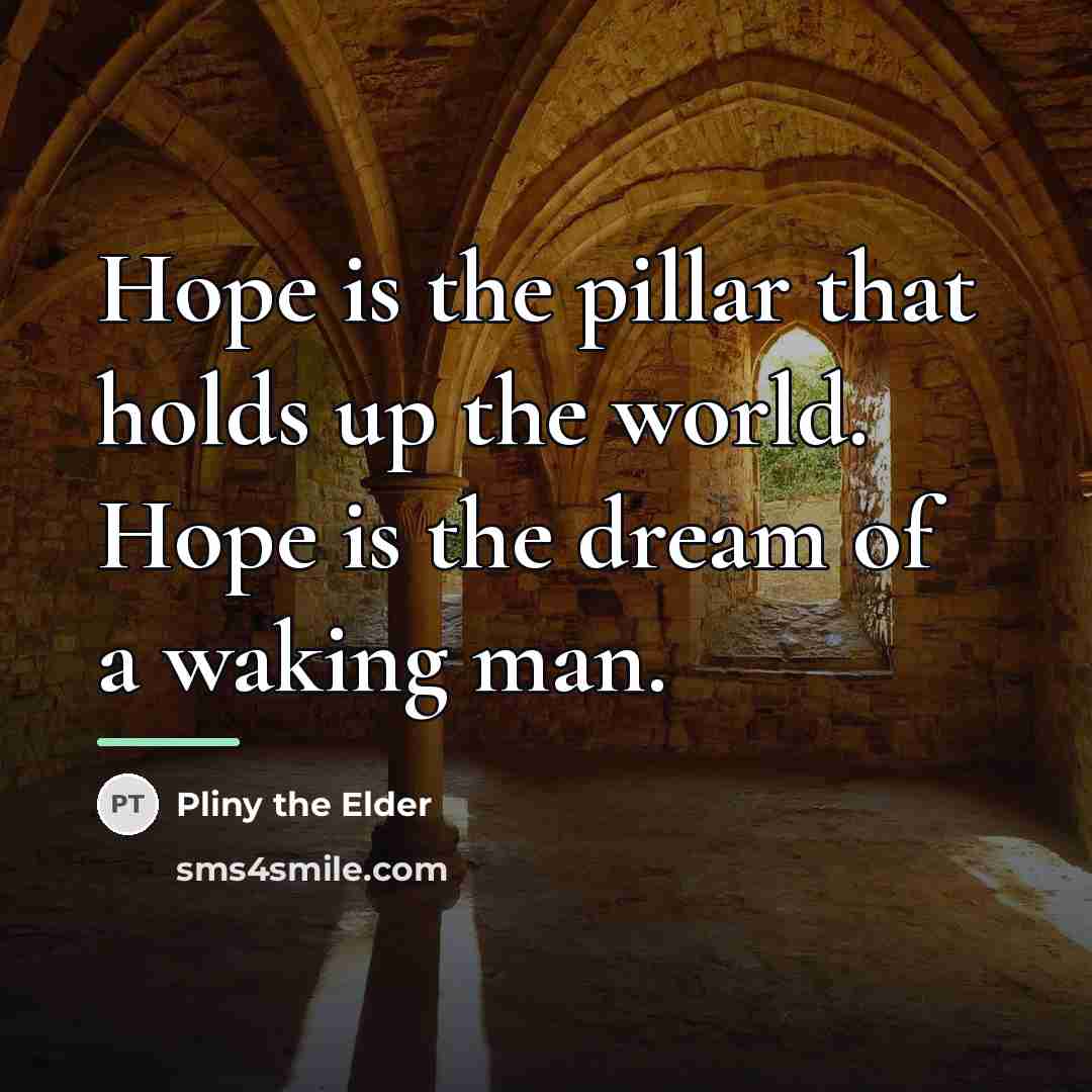 “Hope is the pillar that holds up the world. Hope…” quote by Pliny the Elder