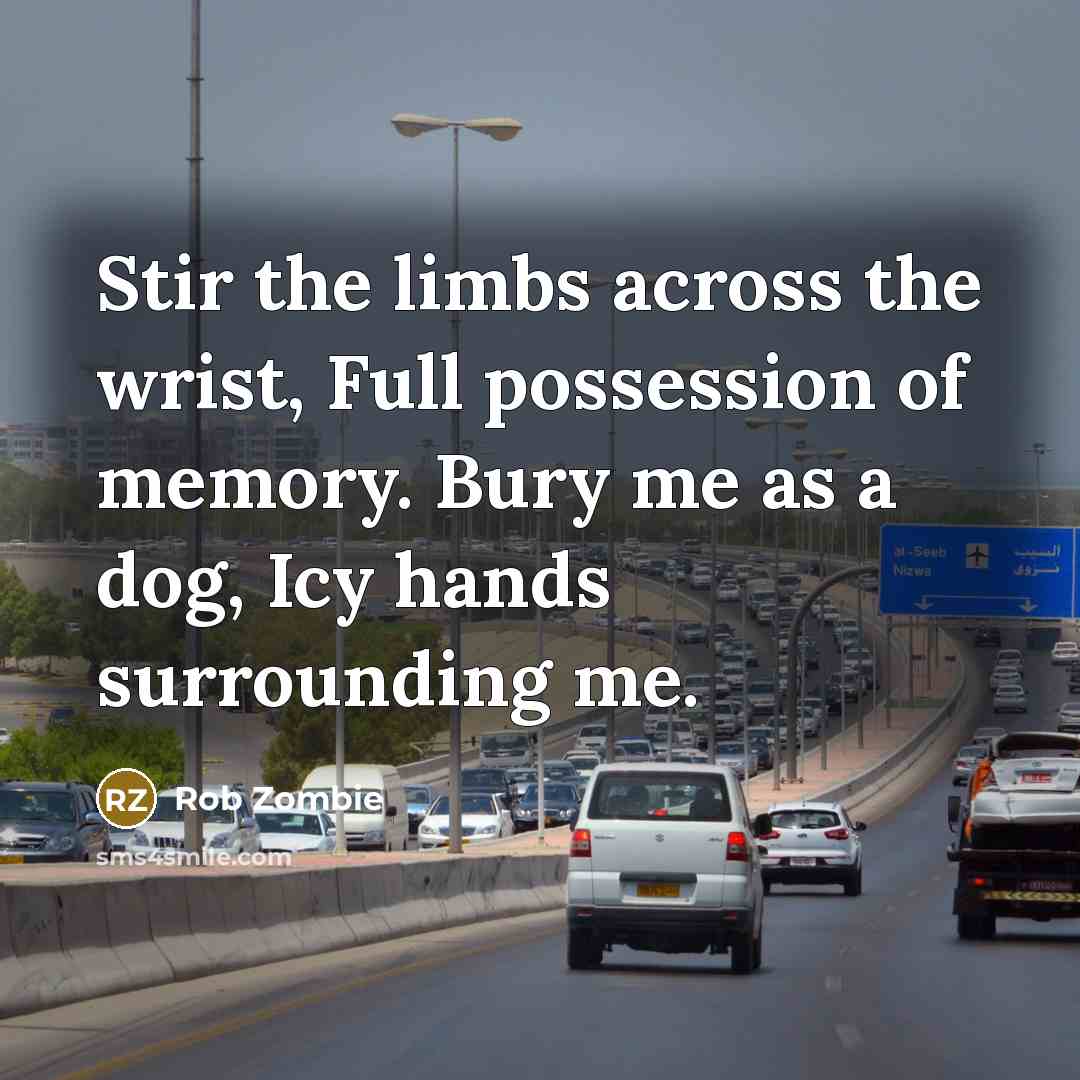 “Stir the limbs across the wrist, Full possession of memory.…” quote by Rob Zombie