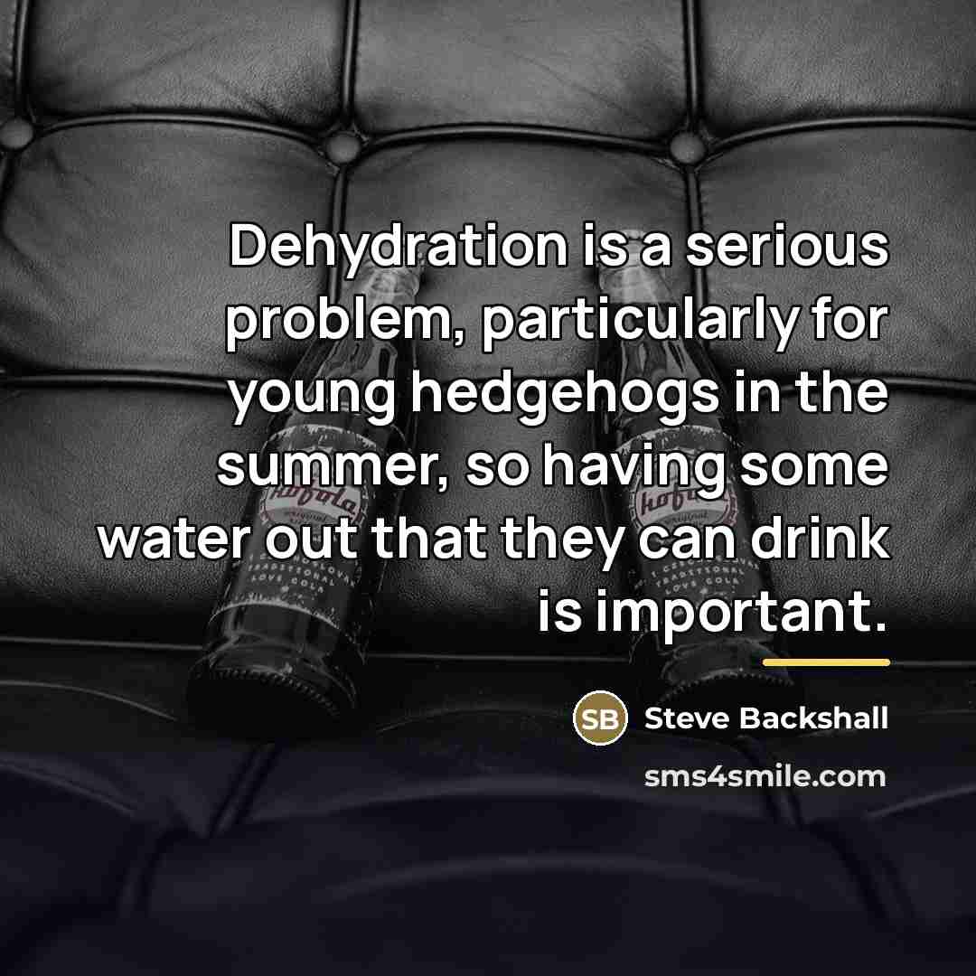 “Dehydration is a serious problem, particularly for young hedgehogs in…” quote by Steve Backshall