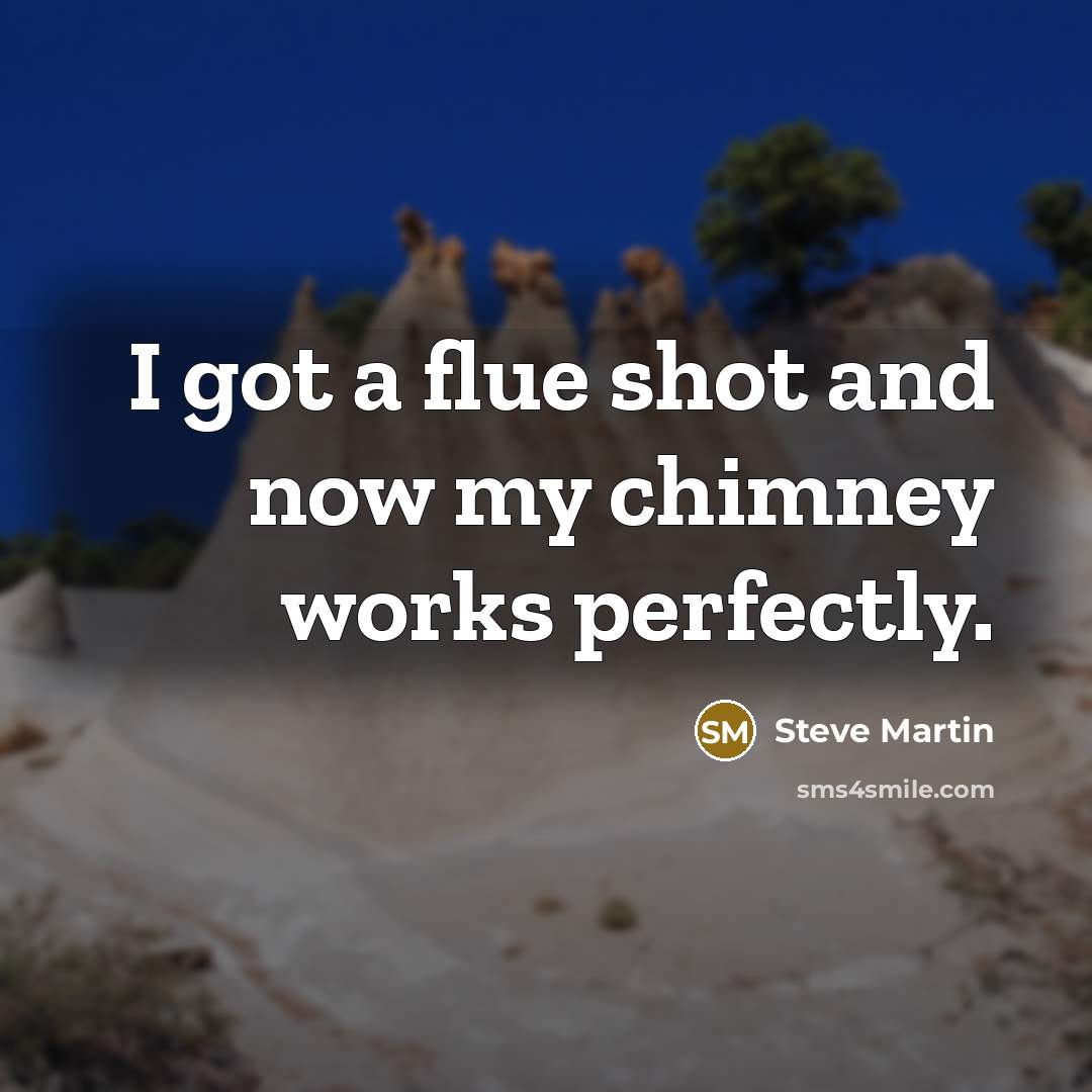 “I got a flue shot and now my chimney works…” quote by Steve Martin