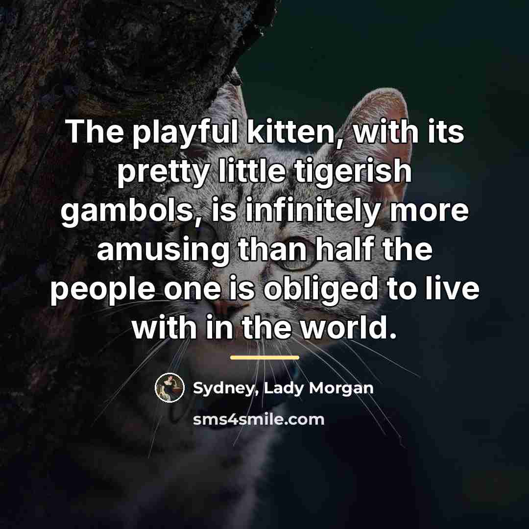 “The playful kitten, with its pretty little tigerish gambols, is…” quote by Sydney, Lady Morgan
