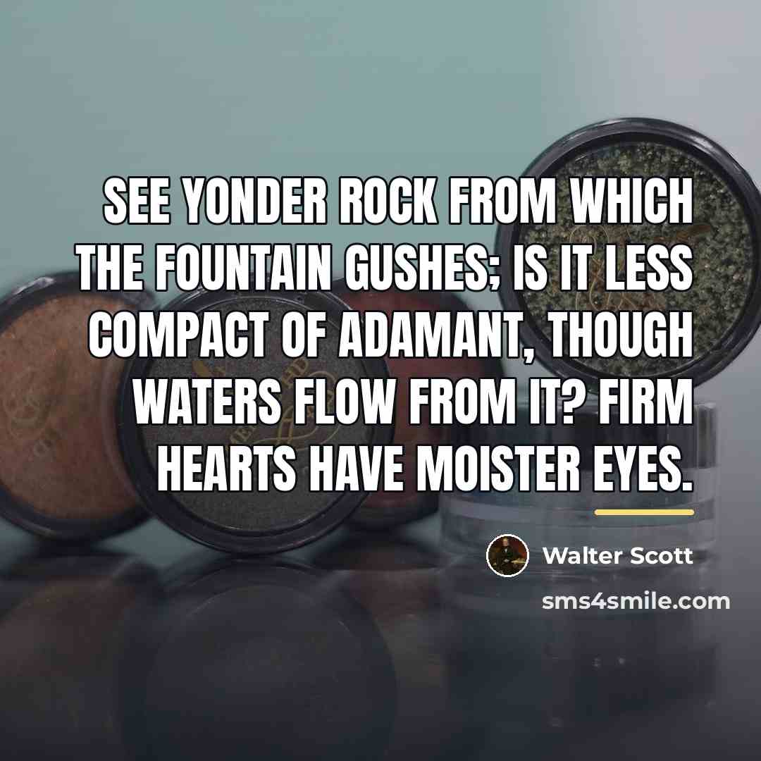 “See yonder rock from which the fountain gushes; is it…” quote by Walter Scott