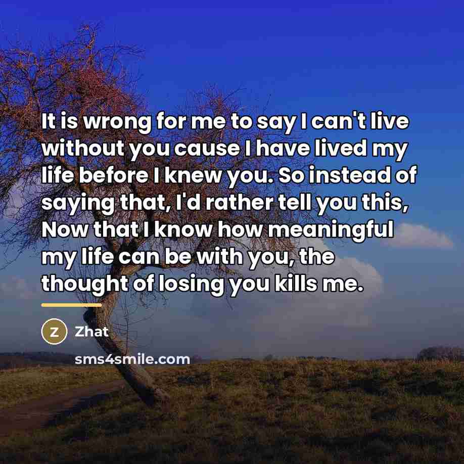 “It is wrong for me to say I can't live…” quote by Zhat