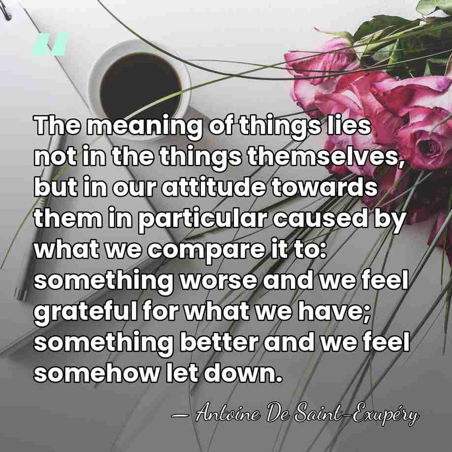The meaning of things lies not in the things themselves, but in&hellip; - Antoine De Saint-Exupéry