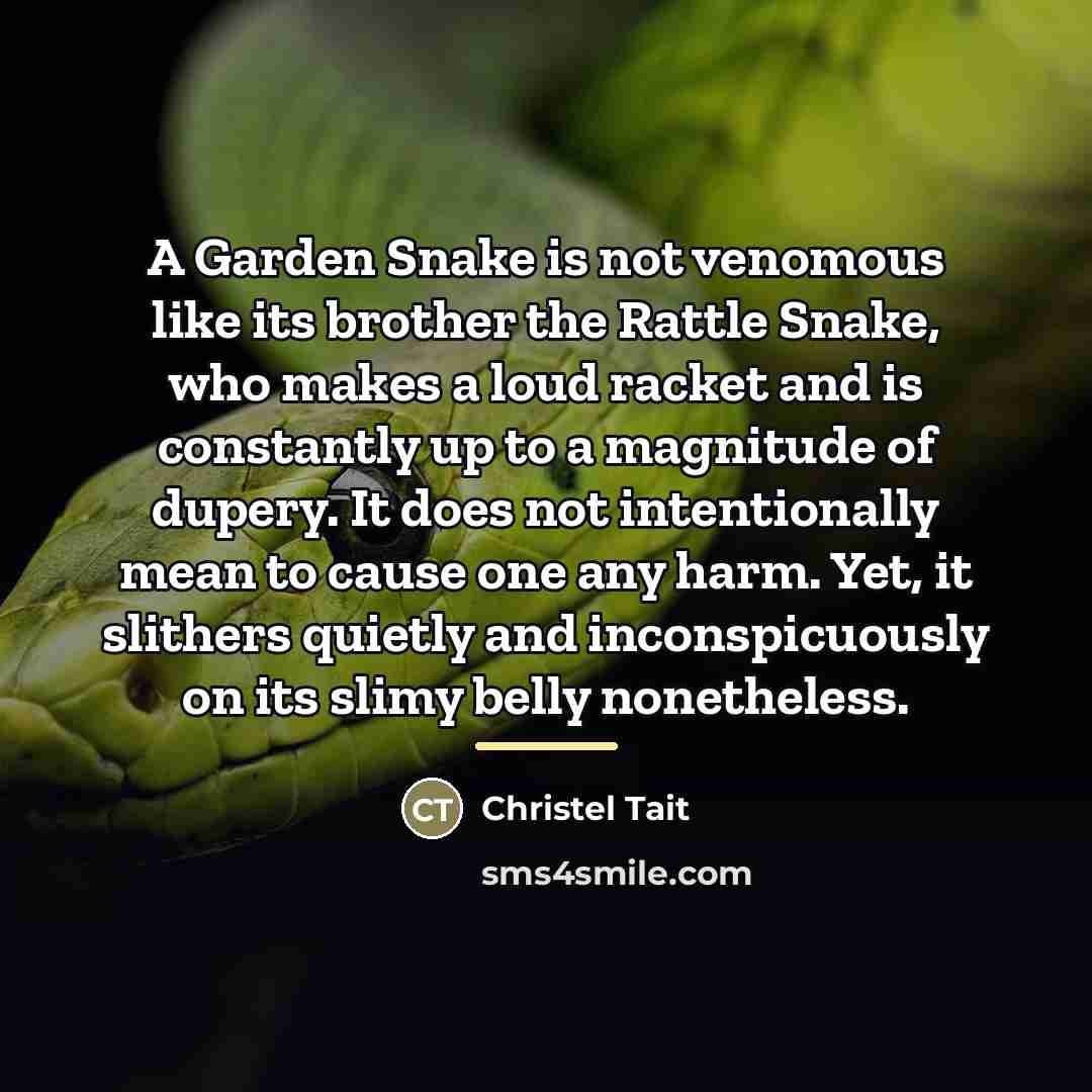 “A Garden Snake is not venomous like its brother the…” quote by Christel Tait