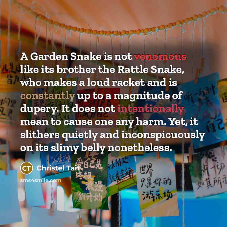 “A Garden Snake is not venomous like its brother the Rattle Snake, who makes a loud racket and is constantly up to a magnitude of dupery. It does not intentionally mean to cause one any harm. Yet, it slithers quietly and inconspicuously on its slimy belly nonetheless.” quote by Christel Tait
