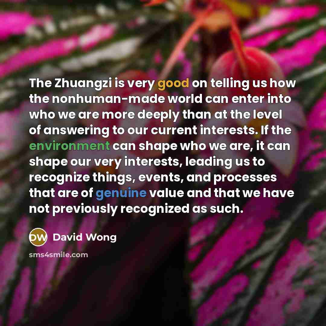 “The Zhuangzi is very good on telling us how the…” quote by David Wong