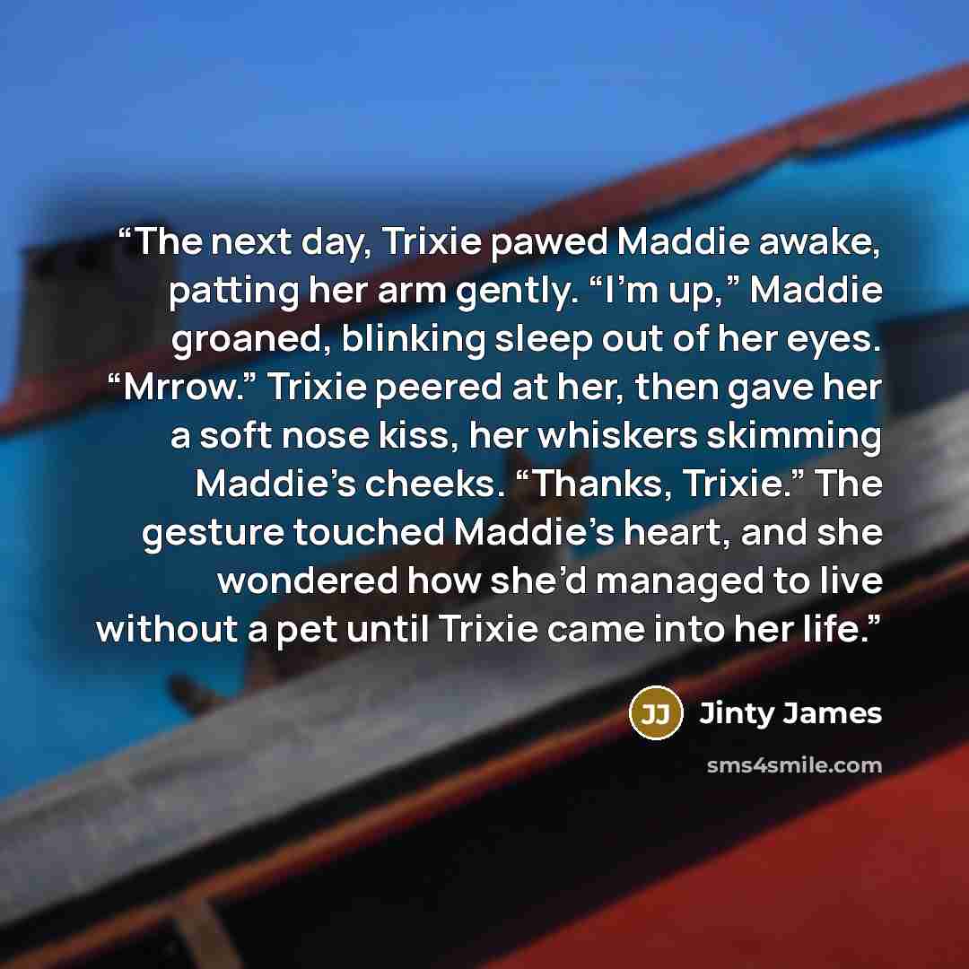 “The next day, Trixie pawed Maddie awake, patting her arm gently. “I’m up,” Maddie groaned, blinking sleep out of her eyes. “Mrrow.” Trixie peered at her, then gave her a soft nose kiss, her whiskers skimming Maddie’s cheeks. “Thanks, Trixie.” The gesture touched Maddie’s heart, and she wondered…” quote by Jinty James