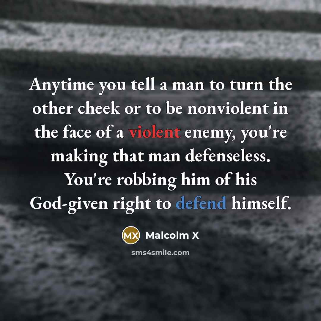 “Anytime you tell a man to turn the other cheek…” quote by Malcolm X
